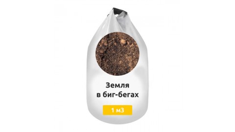 Земля в биг-бегах Земля в биг-бегах